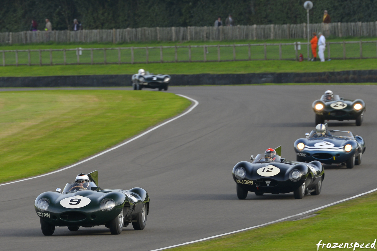 Jaguar D-type race