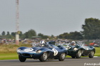 Jaguar D-type race