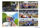 Festival of Speed F1