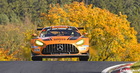 Mercedes AMG autumn wheelie